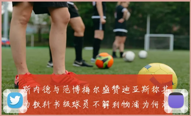 斯内德与范博梅尔盛赞迪亚斯称其为教科书级球员不解利物浦为何放弃他