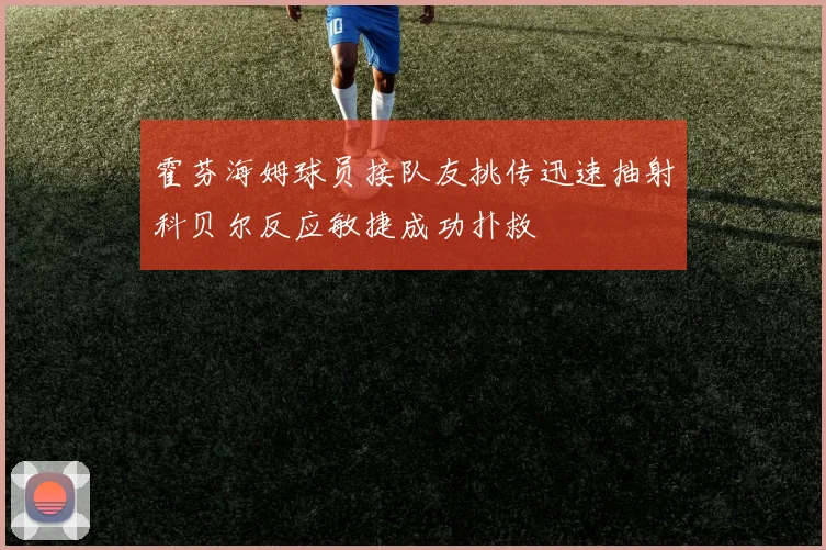 霍芬海姆球员接队友挑传迅速抽射科贝尔反应敏捷成功扑救